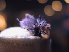 -广州四季酒店·天吧·高空酒吧