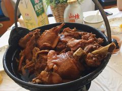 小鸡炖蘑菇-京北渔家傲