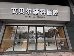 -艾贝尔宠物医院·24H转诊中心·肿瘤猫专科(江宁双龙店)