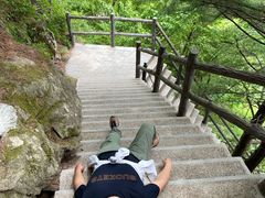 -王顺山国家森林公园