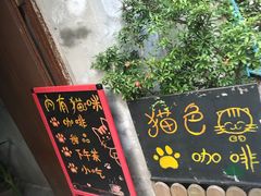 -猫色咖啡·猫咖