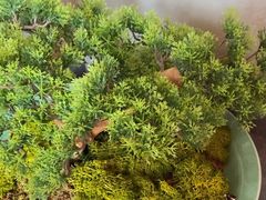 -百富源·海鲜辽菜(张士店)