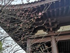 -洋湖国家湿地公园