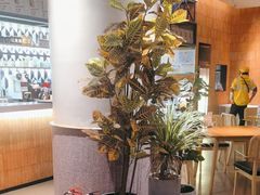 -秀玉coffee&kitchen(黄石大上海店)