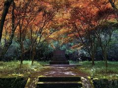 -五泄景区