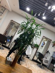 -Nice hair salon奈斯工作室