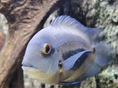 -上海海洋水族馆