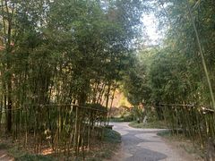 -江宁织造博物馆