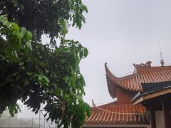 -金鸡山公园