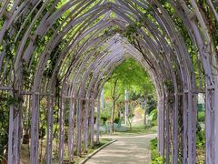 -南宫五洲植物乐园