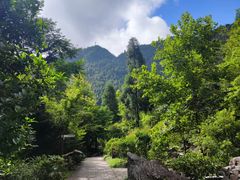 -刘伯温故里景区百丈漈