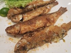 -稻香酒家·33年老字号·港式粤菜(富邦中心店)