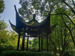 -东湖落雁景区