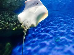 -福州罗源湾海洋世界旅游区