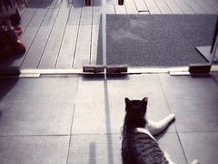 -UNI UNI(环亚凯瑟琳店)