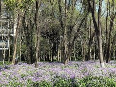 -浙江大学(紫金港校区)