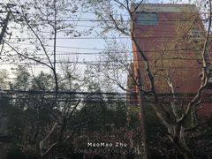 -上海市黄浦区卢湾第一中心小学