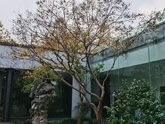-苏州园林博物馆