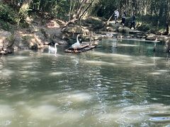 -兰亭风景区