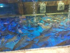 -雍和会海鲜姿造自助(湖东路店)