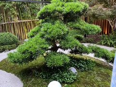 -本逸·割烹料理(湖墅店)