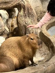 -Zoolung Zoolung动物主题公园(海信广场店)