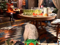 -弗兰克牛排西餐厅Ribone steak house(柠檬花园店)