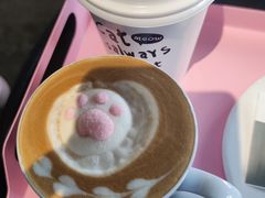 -喵屿·大理花园猫咖