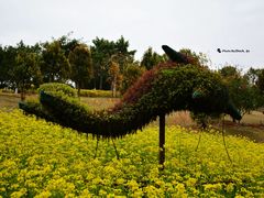 -五通灯塔公园