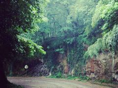 -上海佘山国家森林公园西佘山园