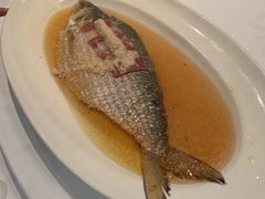 陈年花雕蒸鲥鱼-福1088
