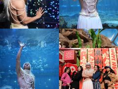 -华夏文旅海洋公园