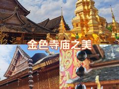 -西双版纳傣族园