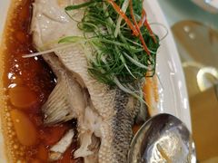 -圣丰盛宴酒家(东城店)