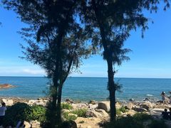 -广东惠东海龟国家级自然保护区