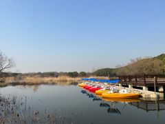 -同里国家湿地公园