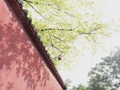 -鹫峰峡漂流