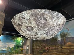 -辽宁古生物博物馆