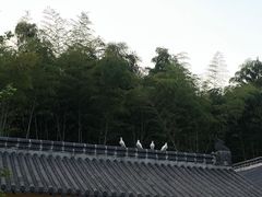 -南京市无想山景区