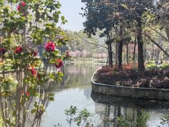 -和平公园