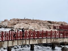 -养马岛旅游度假区