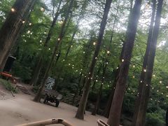 -波尔登森林公园