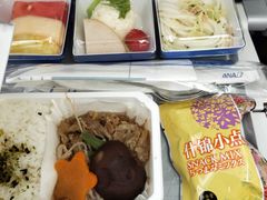 -全日本空输株式会社(上海办事处)