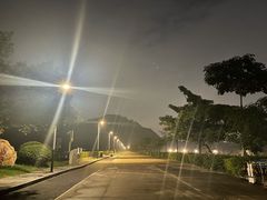 -水濂山森林公园