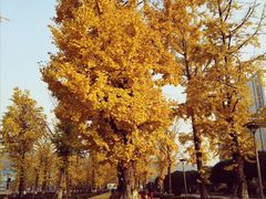 -两江幸福广场