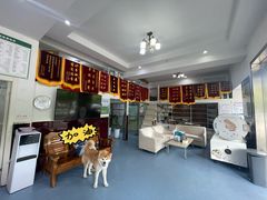 -顺强宠物诊所·狂犬免疫·夜诊·骨科(嘉定店)