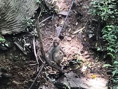 -木兰云雾山