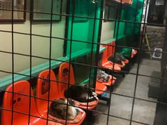 -猫咪博物馆(顶澳仔猫街店)