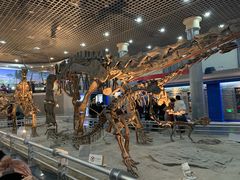 -国家自然博物馆