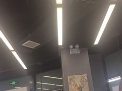 -MT麦如麦立送(五矿live店)